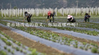 菜市场改造的意义，你知道哪些呢？