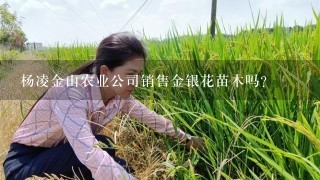 杨凌金山农业公司销售金银花苗木吗？