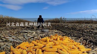 河北省蔬菜种植时间表