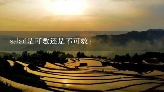 salad是可数还是不可数？