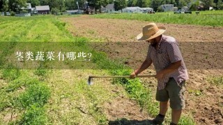 茎类蔬菜有哪些?