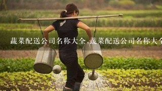 蔬菜配送公司名称大全,蔬菜配送公司名称大全