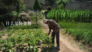 什么是轻食餐