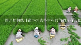 图片如何统计出excel表格中相同的图片有几张