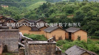 如何在EXCEL表格中统计数字和图片