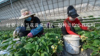 红萝卜西兰花菠菜可以1起榨汁给小孩吃吗