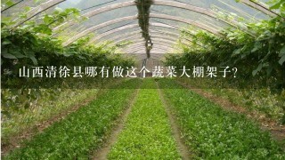 山西清徐县哪有做这个蔬菜大棚架子？