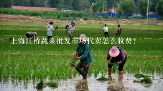 上海江桥蔬菜批发市场代卖怎么收费？