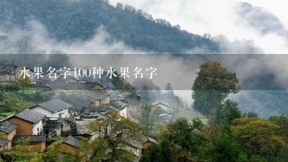 水果名字100种水果名字