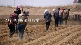 20个中国的菜肴名称