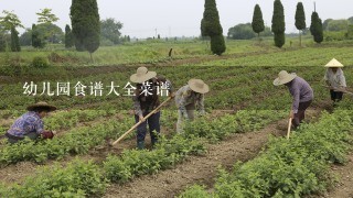 幼儿园食谱大全菜谱