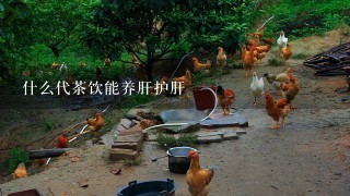 什么代茶饮能养肝护肝