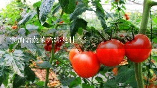 潮汕话蔬菜6绑是什么？