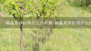 做蔬菜沙拉用什么沙拉酱 做蔬菜沙拉用什么沙拉酱好