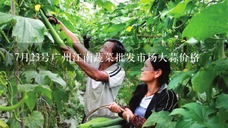 7月23号广州江南蔬菜批发市场大蒜价格
