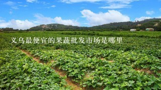 义乌最便宜的果蔬批发市场是哪里