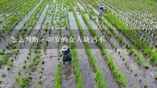 怎么判断·40岁的女人缺钙不