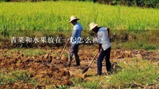 青菜和水果放在1起怎么画?