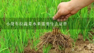 小货车拉蔬菜水果需要什么证件