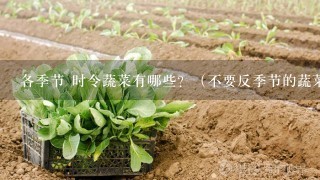 各季节 时令蔬菜有哪些？（不要反季节的蔬菜）