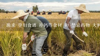 跪求 孕妇食谱 补钙等食材 和 禁忌药物 大料 等等 详细的给高分追加