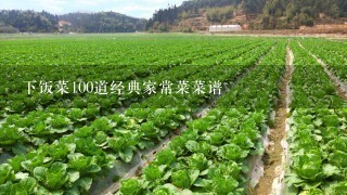 下饭菜100道经典家常菜菜谱