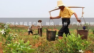 中国水果蔬菜产地、规模、品种、产收季节细分