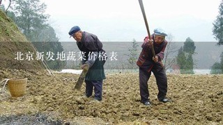 北京新发地蔬菜价格表