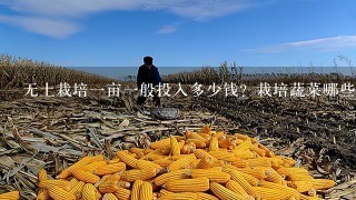 无土栽培1亩1般投入多少钱？栽培蔬菜哪些？1年利