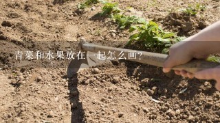 青菜和水果放在1起怎么画?