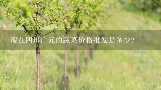 现在4川广元的蔬菜价格批发是多少？