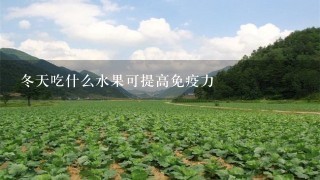 冬天吃什么水果可提高免疫力