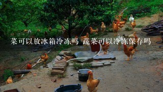 菜可以放冰箱冷冻吗 蔬菜可以冷冻保存吗