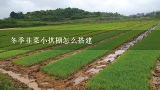 冬季韭菜小拱棚怎么搭建