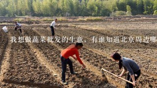 我想做蔬菜批发的生意，有谁知道北京周边哪里有大的蔬菜基地可以收菜？
