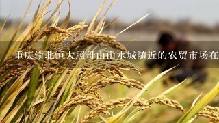 重庆渝北恒大照母山山水城随近的农贸市场在哪里