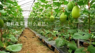 有机蔬菜是什么意思?