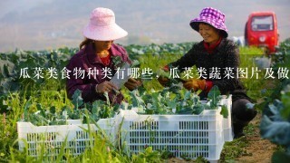 瓜菜类食物种类有哪些，瓜菜类蔬菜图片及做法大全等