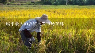 临平最大的农贸批发市场在哪
