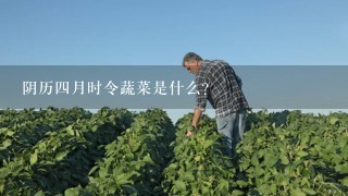 阴历4月时令蔬菜是什么？