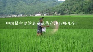 中国最主要的温室蔬菜产地有哪几个？