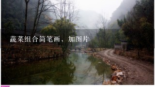 蔬菜组合简笔画，加图片