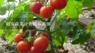 超市蔬菜分类商品明细