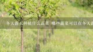 冬天露天种植什么蔬菜 哪些蔬菜可以在冬天露天种植