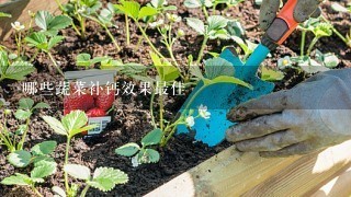 哪些蔬菜补钙效果最佳