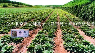 今天北京新发地蔬菜批发市场番茄的价格是多少元每斤？