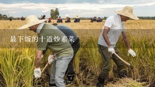 最下饭的十道炒素菜