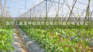 取什么蔬菜种植销售有限公司最好听又好记？