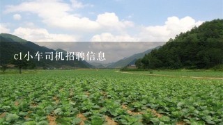 c1小车司机招聘信息