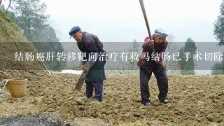 结肠癌肝转移靶向治疗有救吗结肠已手术切除2个月